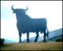 L'avatar di markxxtoro