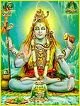 L'avatar di shivashanty